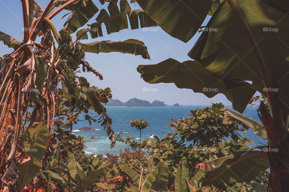 Summer mood, summer is coming, view of sea from the lush of banana trees