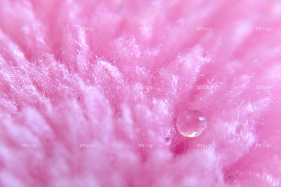 water droplet on pink blanket