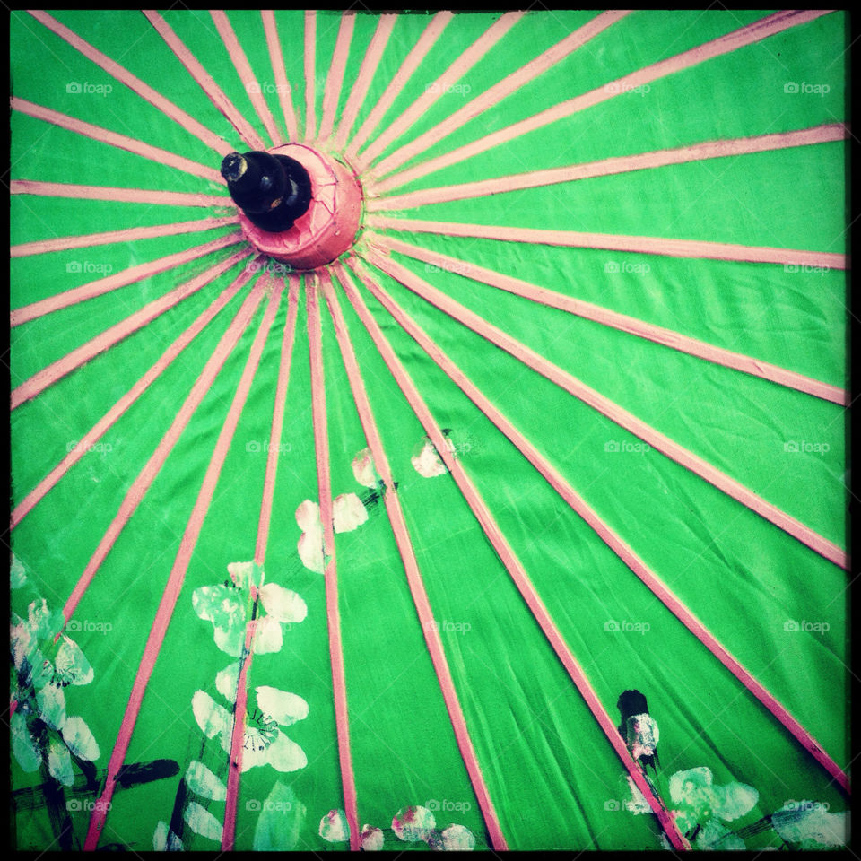 umbrella