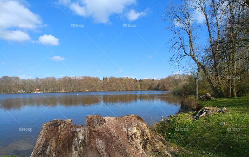 see wasser baumstupf wiese ruhe Frieden