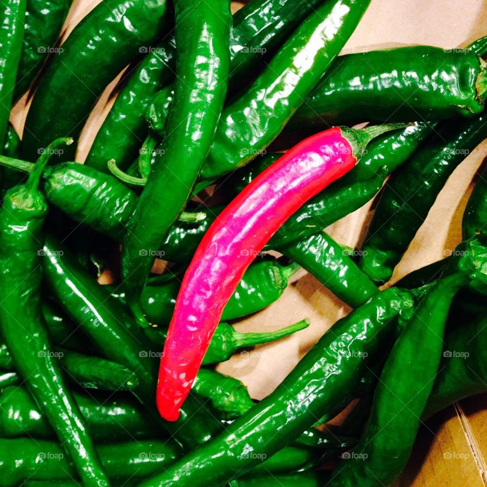 Close-up of green chilli pepper