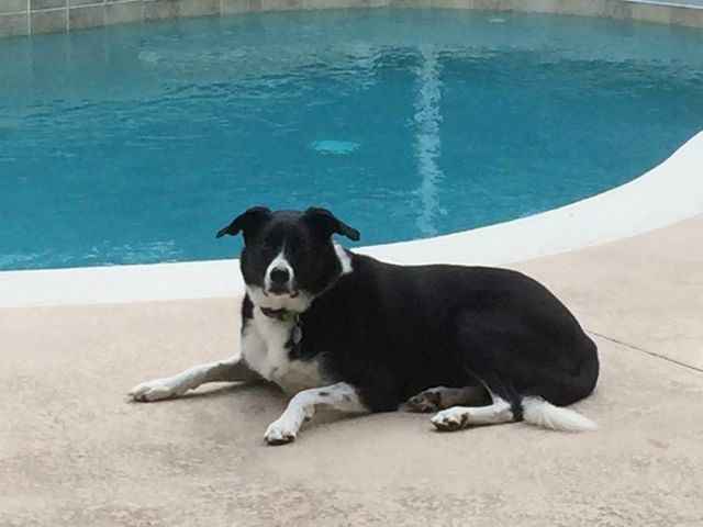Can we go swimming now?