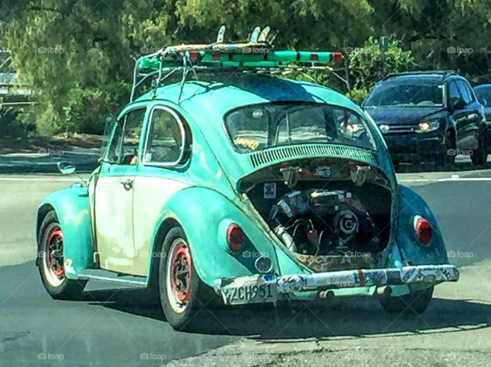 Surf Bug