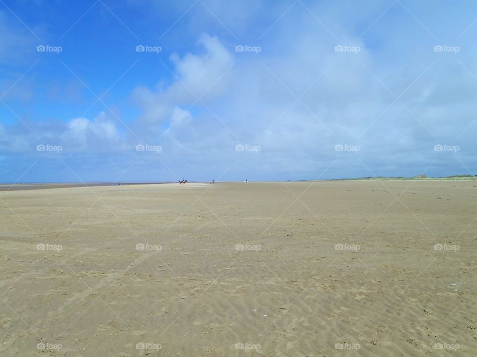 There are horses there 