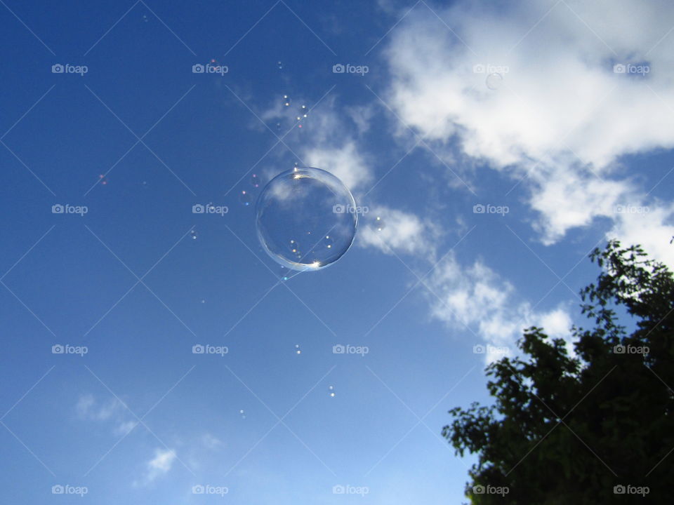 Bubbles