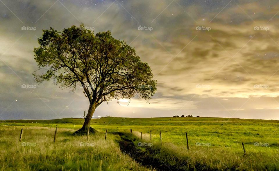 Landscape photography - Nature 