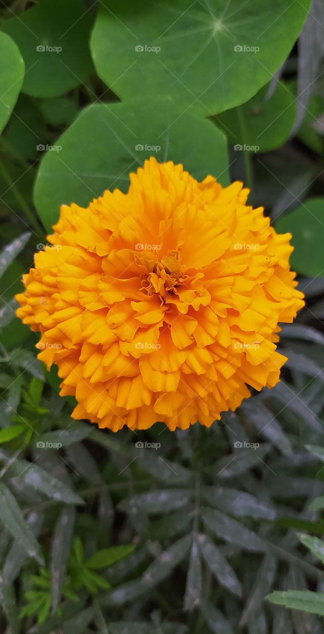 The beautiful creation of the Nature ❤️