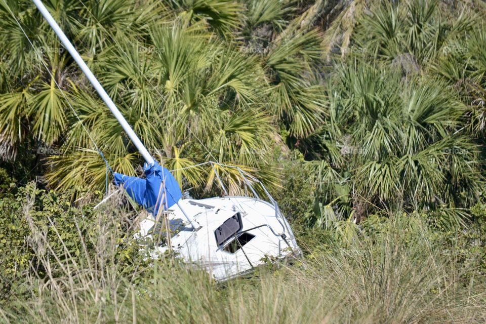 A white shipwrecked sailboat with a fallen blue sail on the grassy bank of a river with palmettos all around 