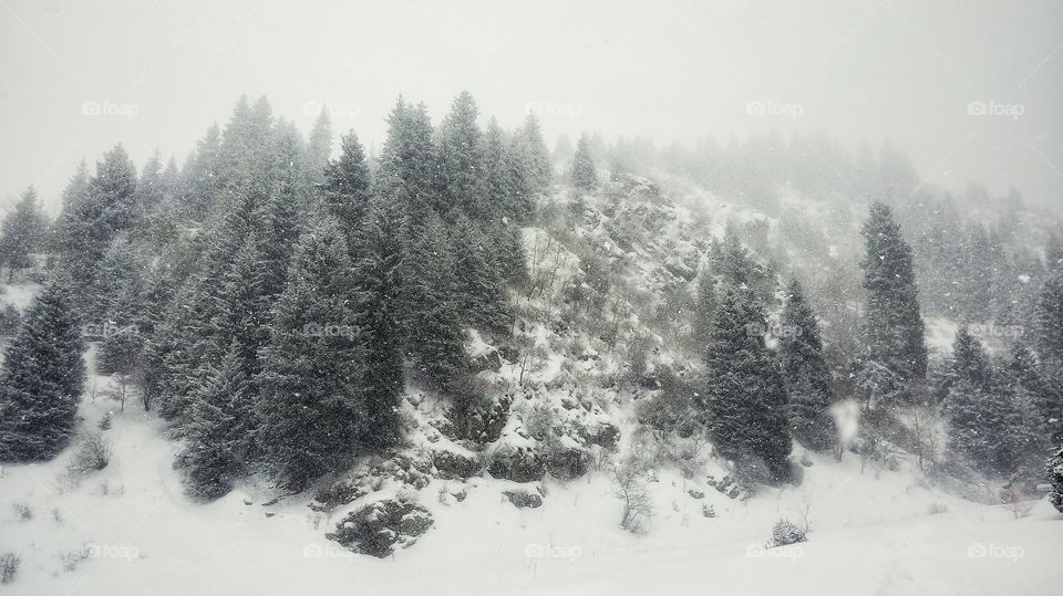 зима, холод, красота,  природа,  горы
