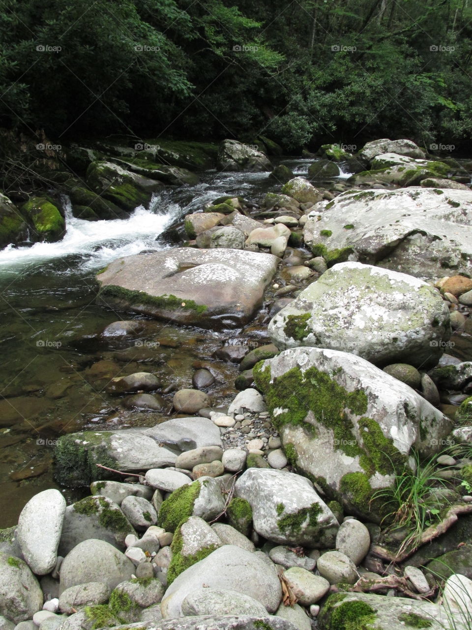Rock, Water, Stream, Stone, River