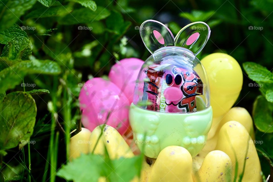 Egg bunny Portrait with Colorful eggs on the yellow pumpkin surrounded with green bushes