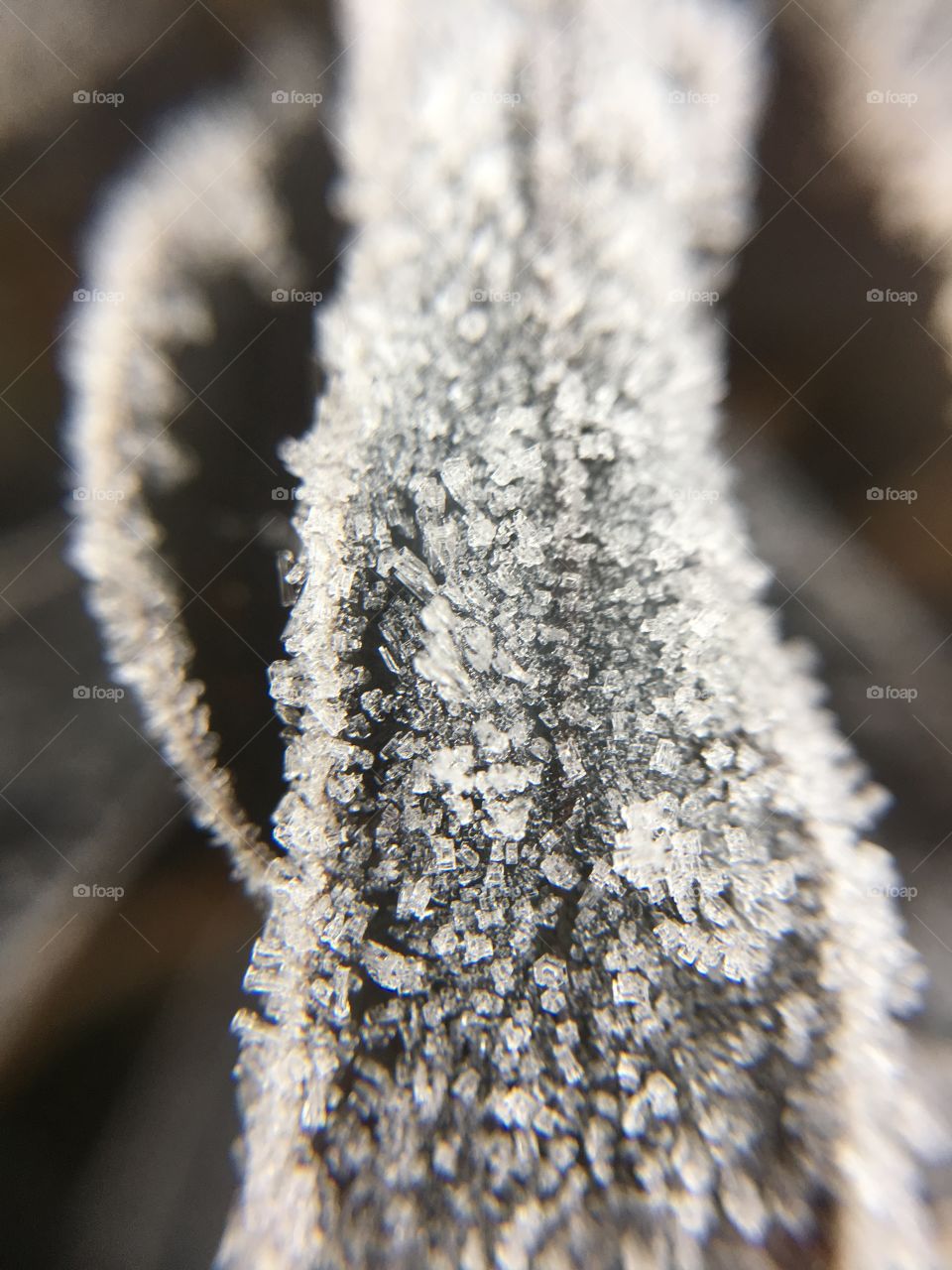 December morning frost in CT