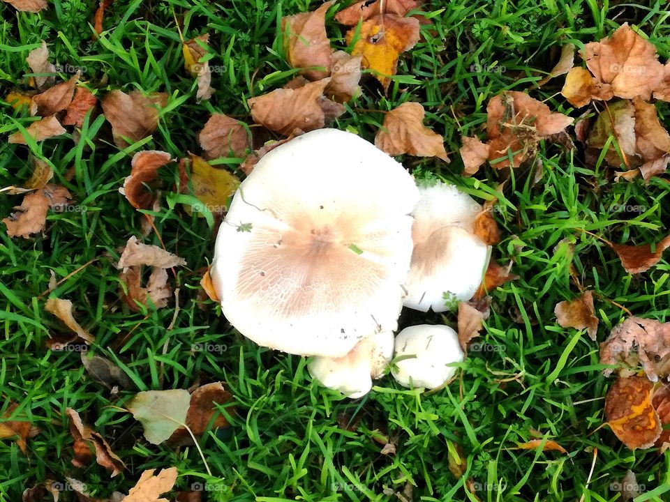 #nature #fallow_me #fallowers #Fallowme