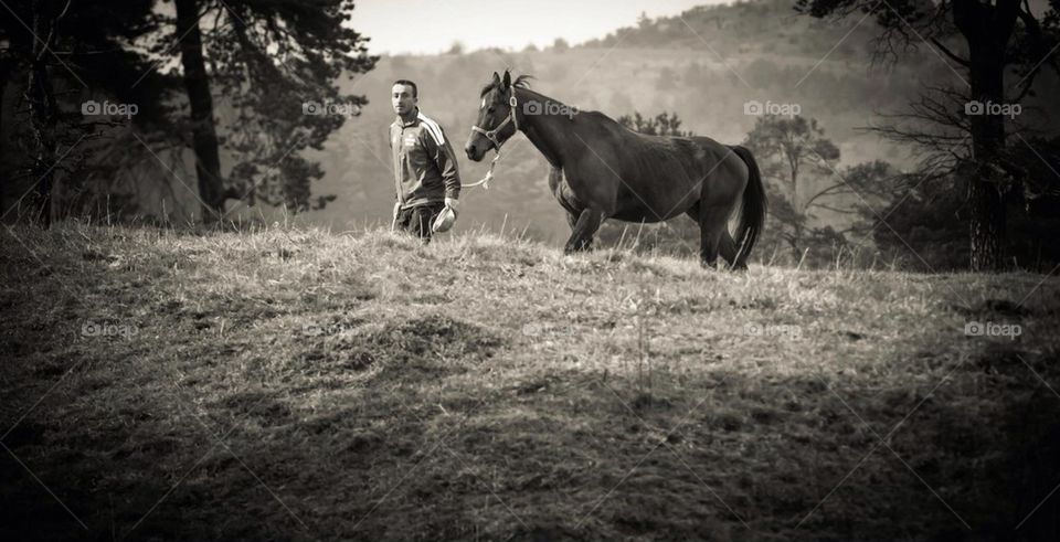 Man with horse