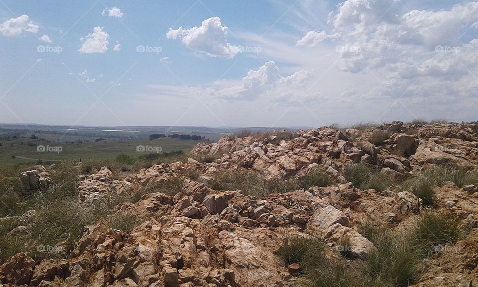 Krugersdorp Game Reserve