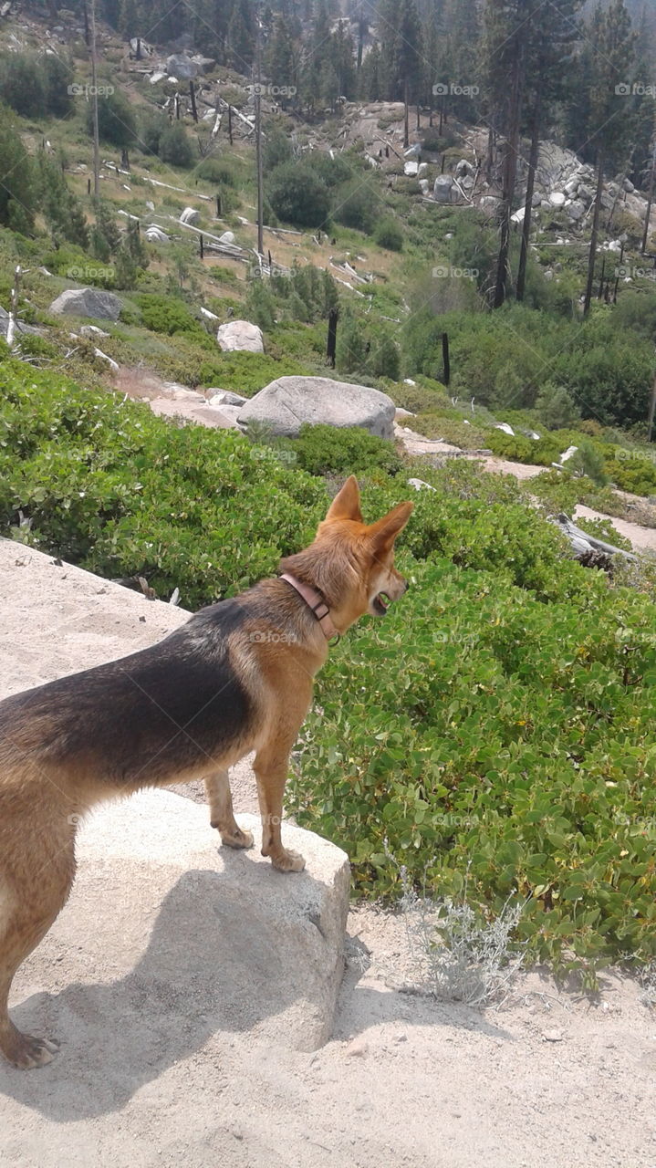 looking over the cliff