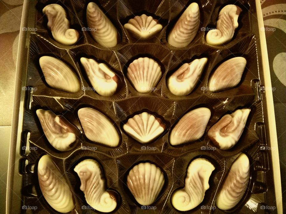 seashells candies
