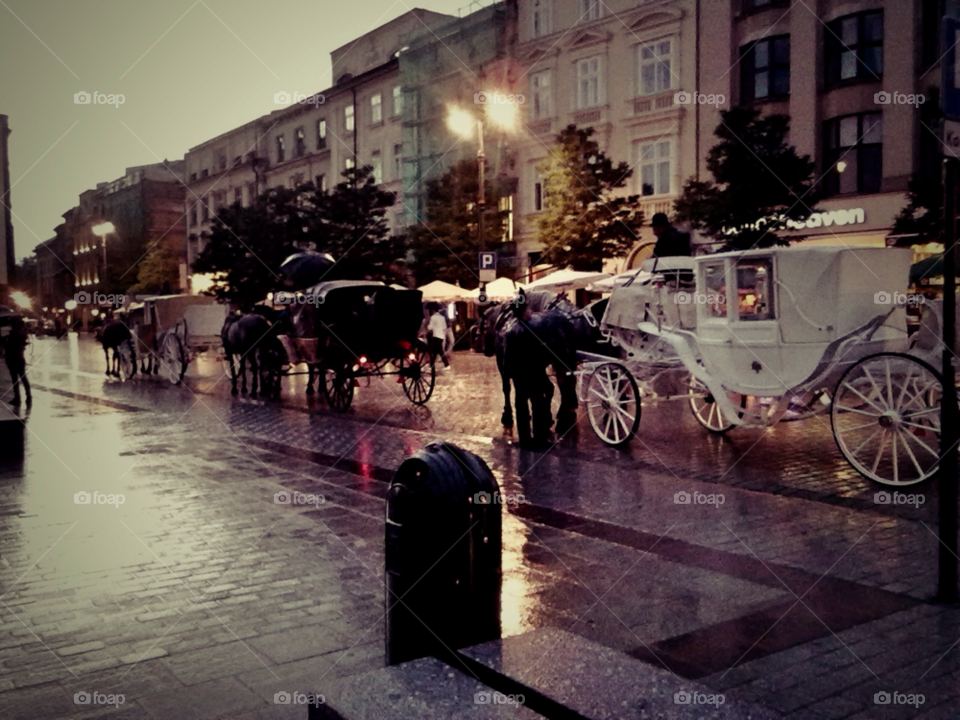 town horse old market poland by chester29