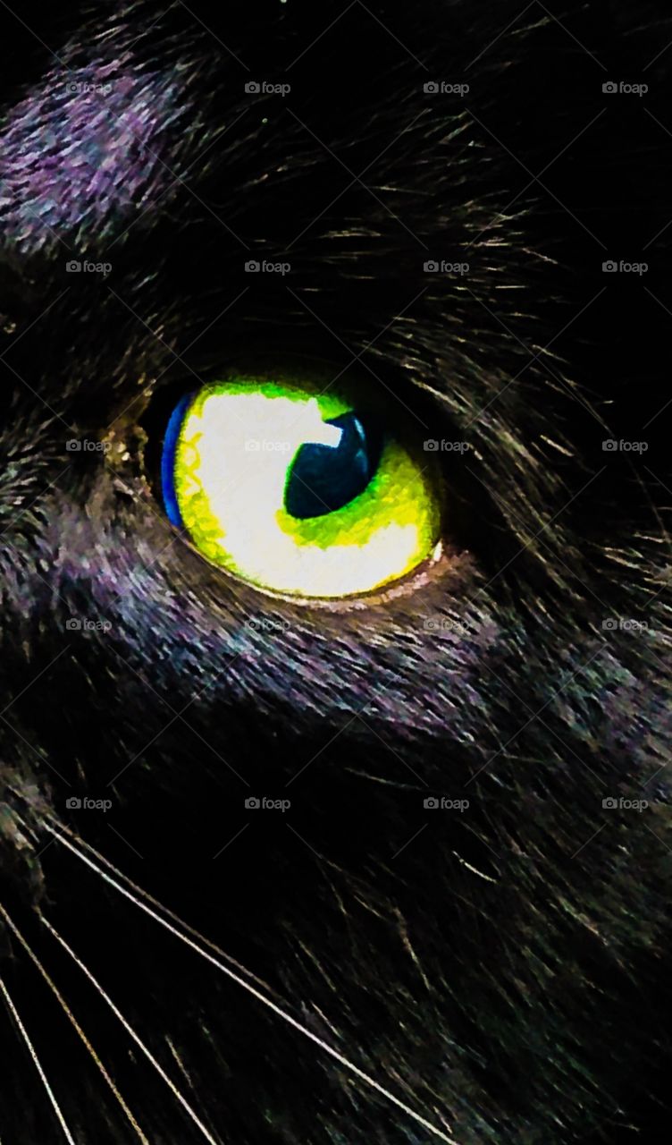 Green cats eye