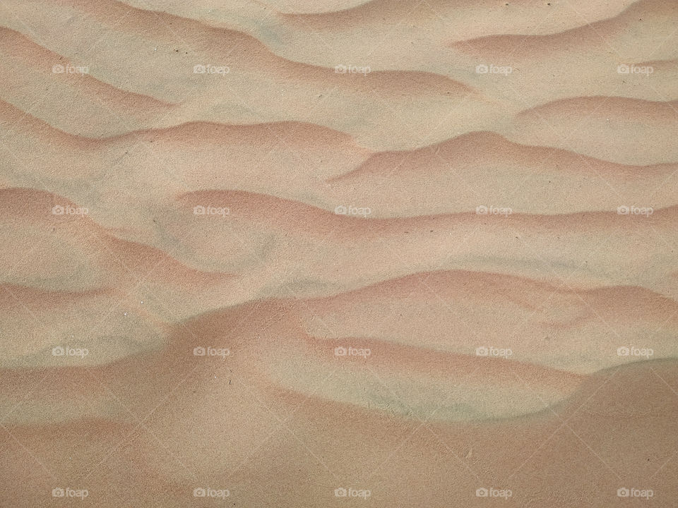 A closeup of sand dune texture