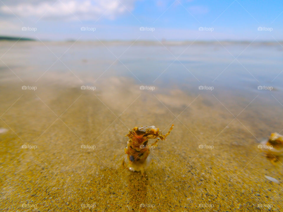 sand sea crustatiojn by graham.harris