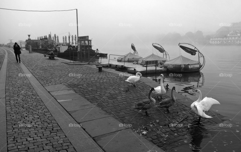 Foggy morning on the embankment.