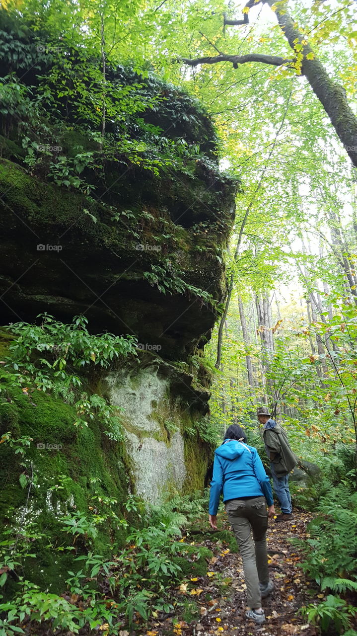 Hikers trekking past large rock formations covered in growth deep in the forest on a rainy day.