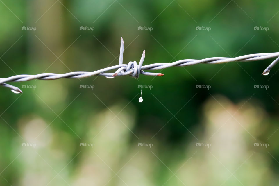 Barb wire