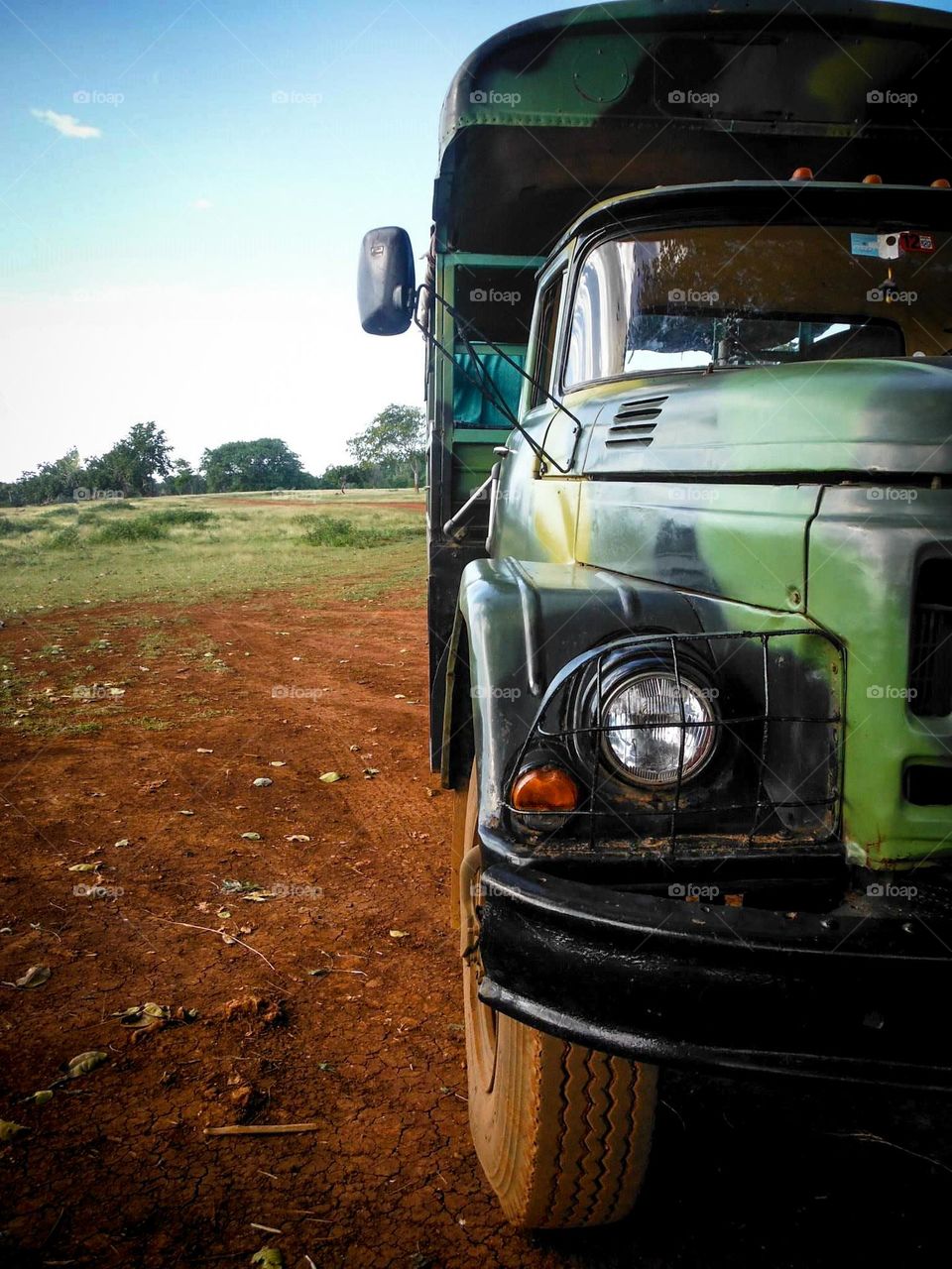 Truck on a safari