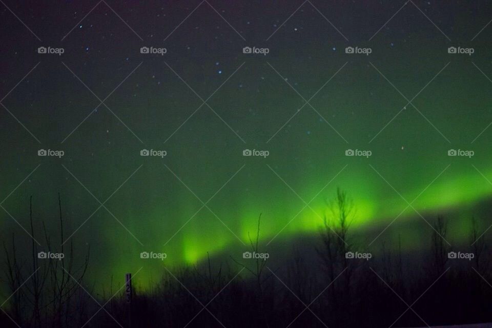 Northern lights 
