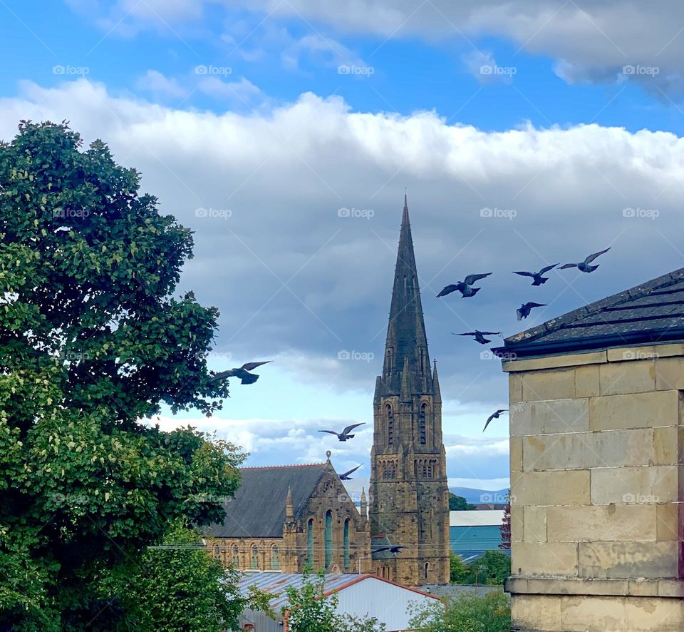 View from the window