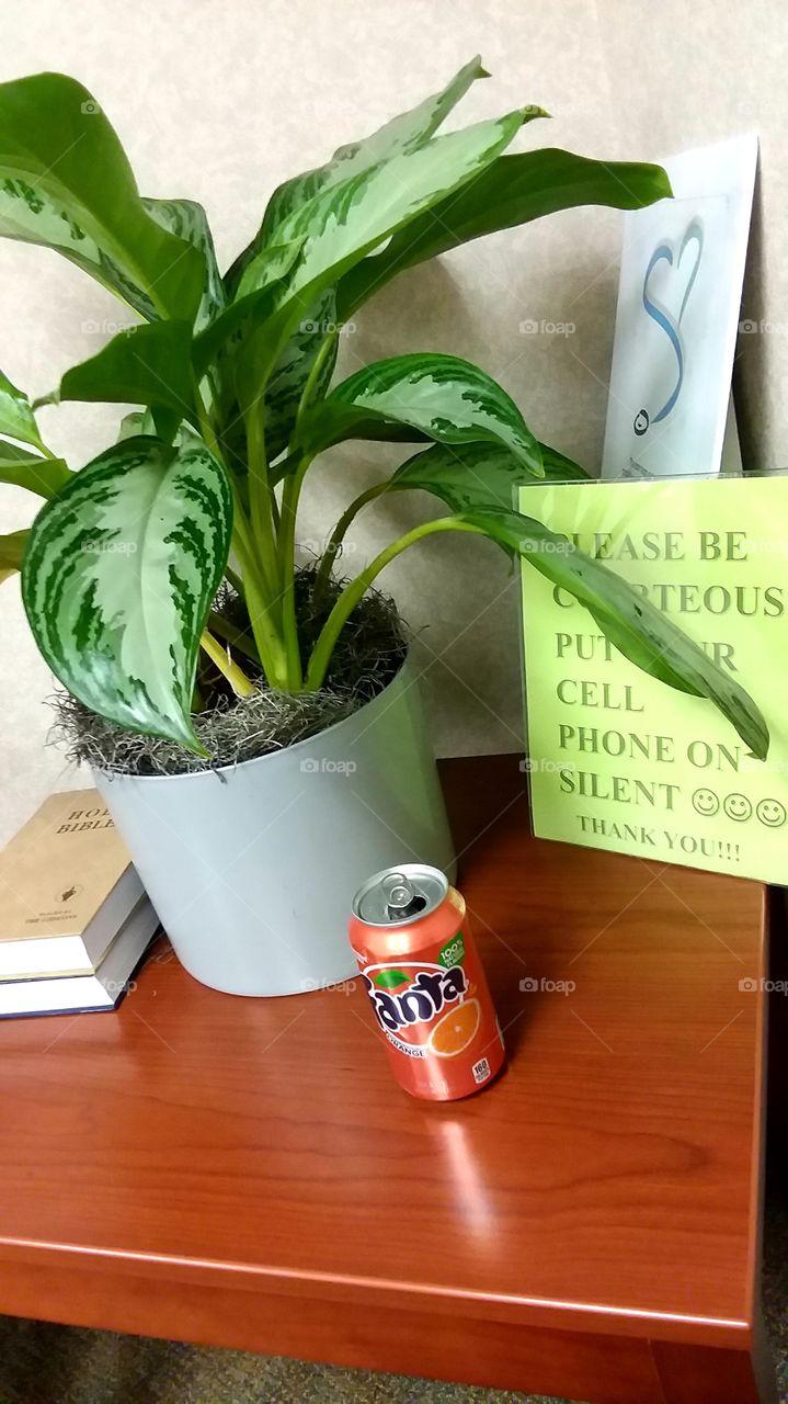 circular shapes ellipse round