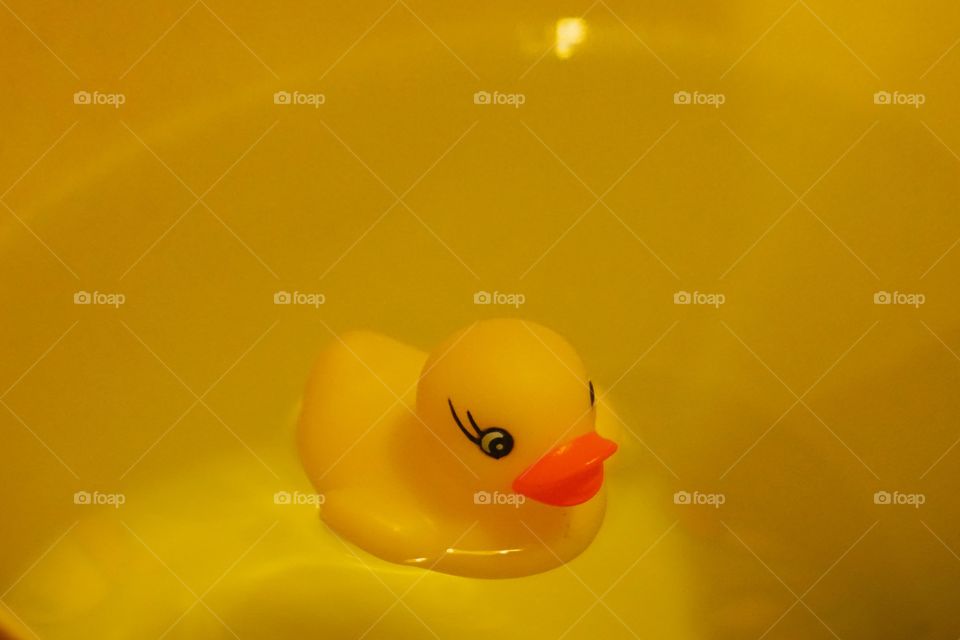 Yellow duck toy swimming in a yellow bath