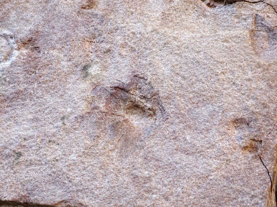 The shots of the execution in the castle of Montjuic