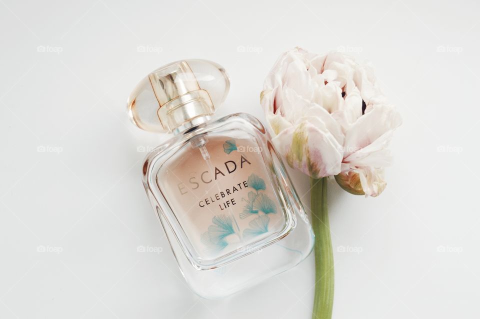the fragrance of perfume is something airy and elusive, filled with shades and nuances that easily escape logic and understanding. Each perfume is able to slightly touch events from the past. 