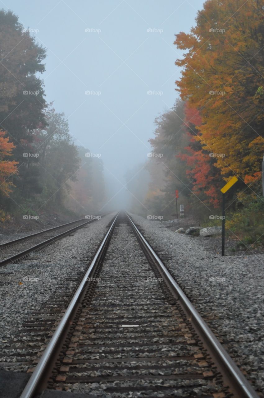 Foggy railway