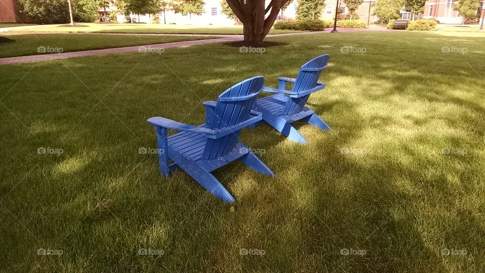 Adirondack chairs relax under a tree