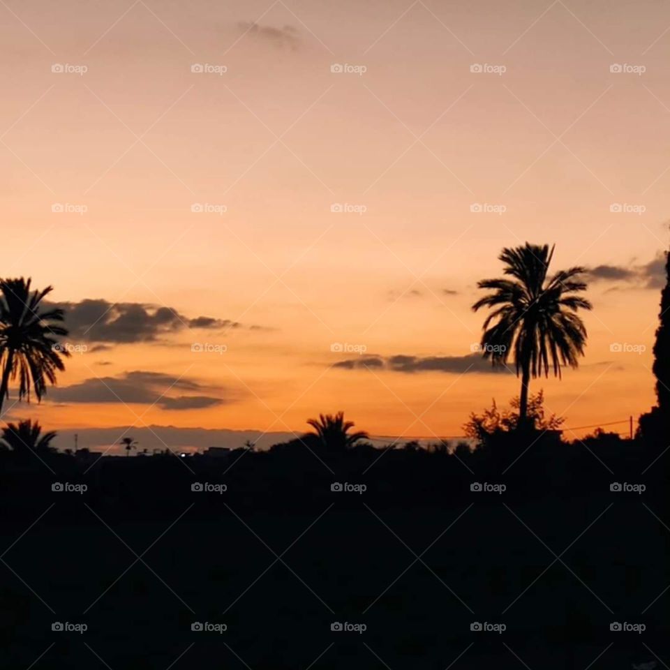 I think it's a picture worth evaluating