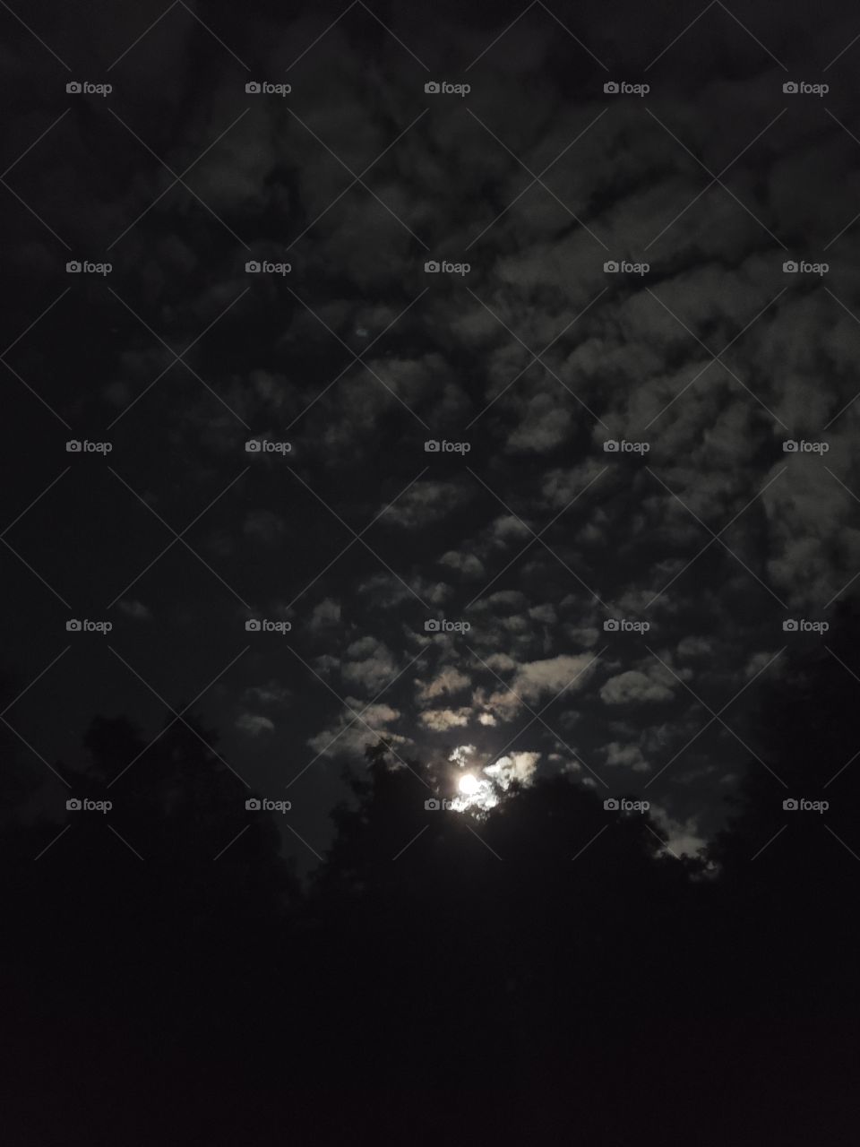 full moon with clouds and tree Silhouettes at night
