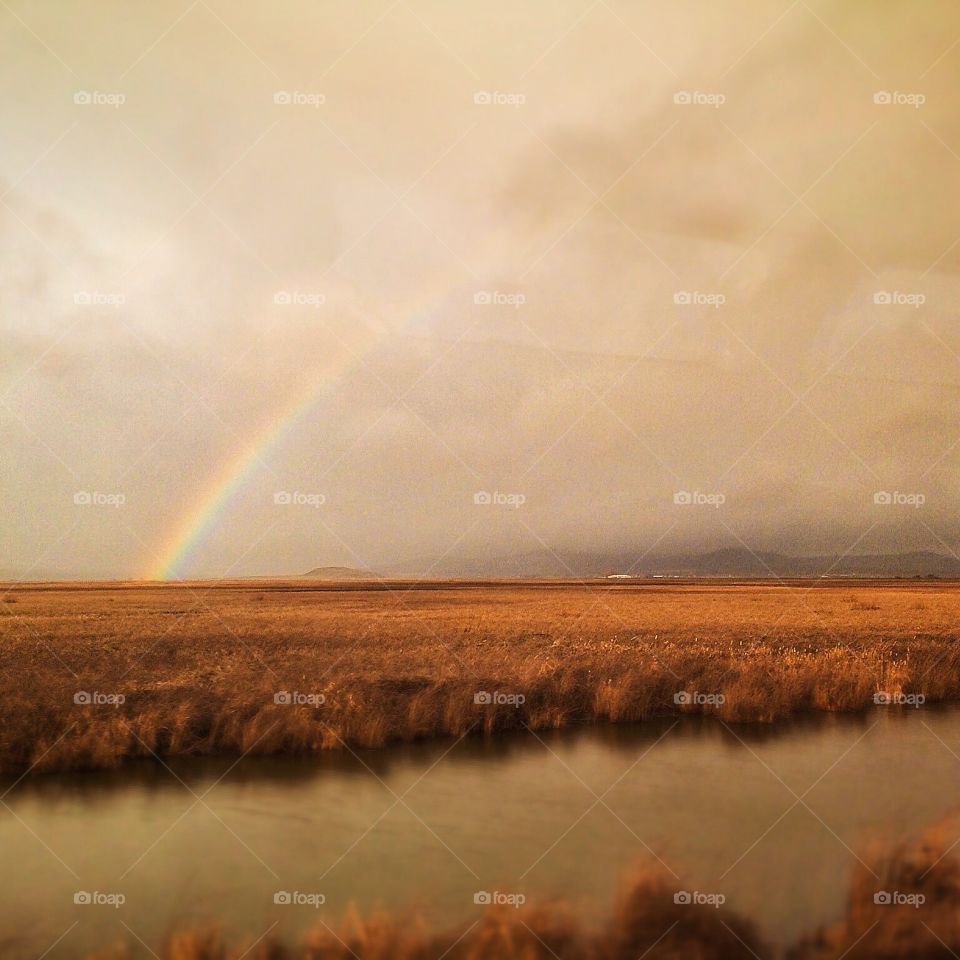 Southern Oregon rainbow from a train. 