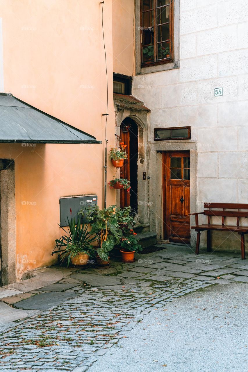 Cute corner with plants 