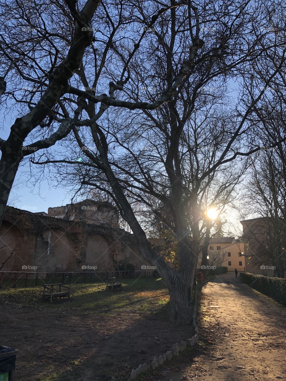 Sunset on a well lit path heading into the new, surrounded by the old. Peaceful and quiet, it’s the perfect shot for reflection and natural beauty. 