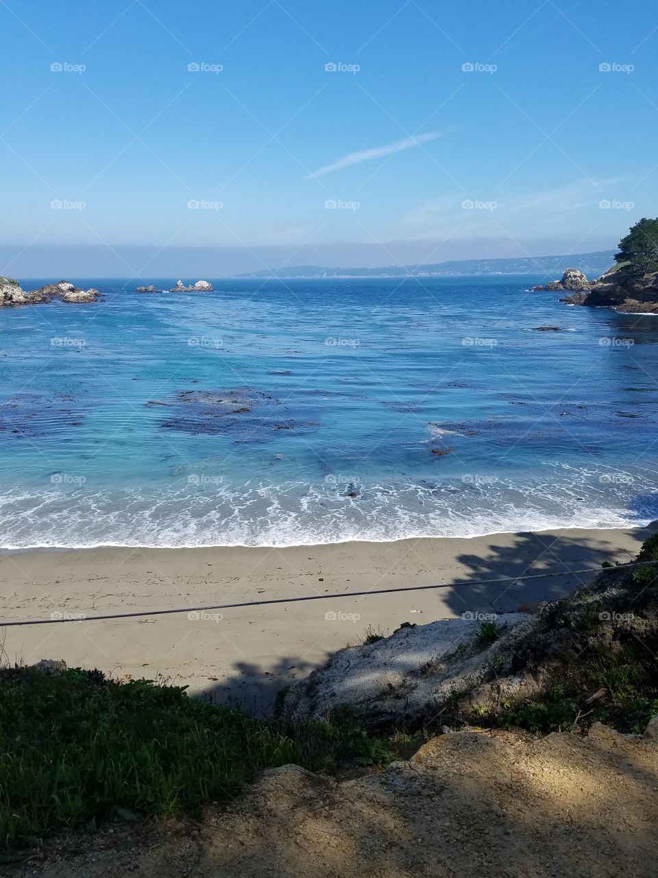 Point Lobos, Monterey