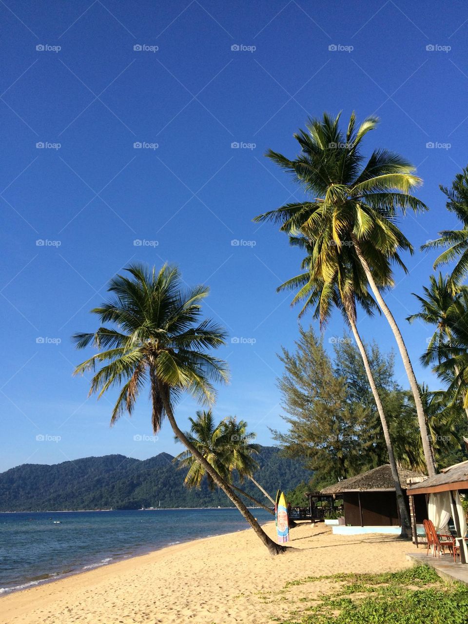 Relaxing summer vacation vibes and nature views on Tioman Island. 
