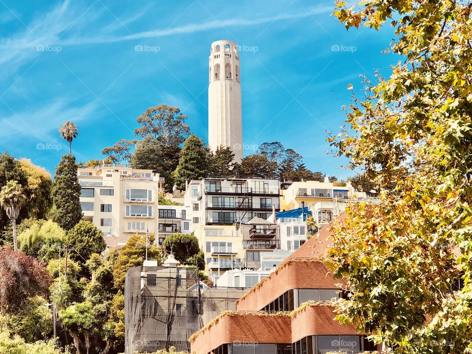 Beautiful views of San Francisco and Coit Tower! 