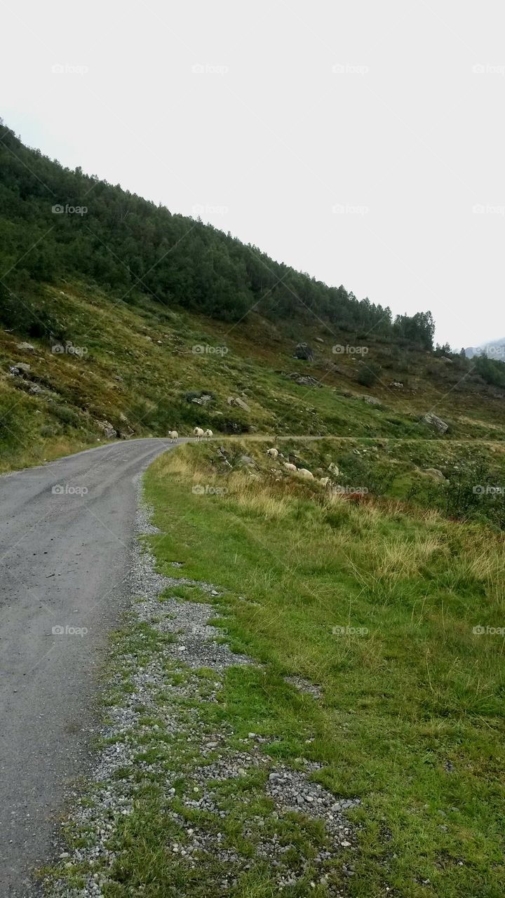 The rough nature in Norway