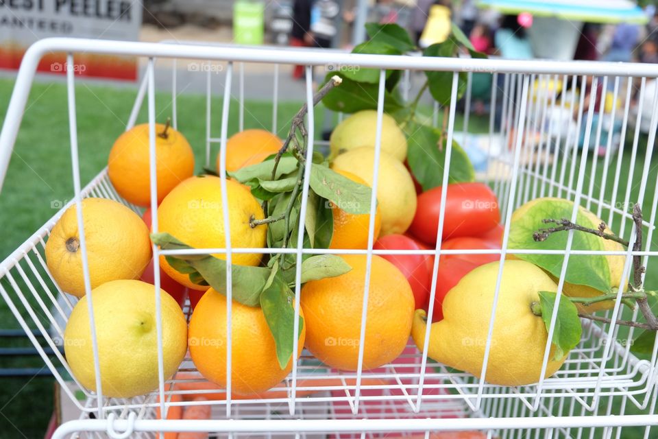 Fruits and vegetables in a rack