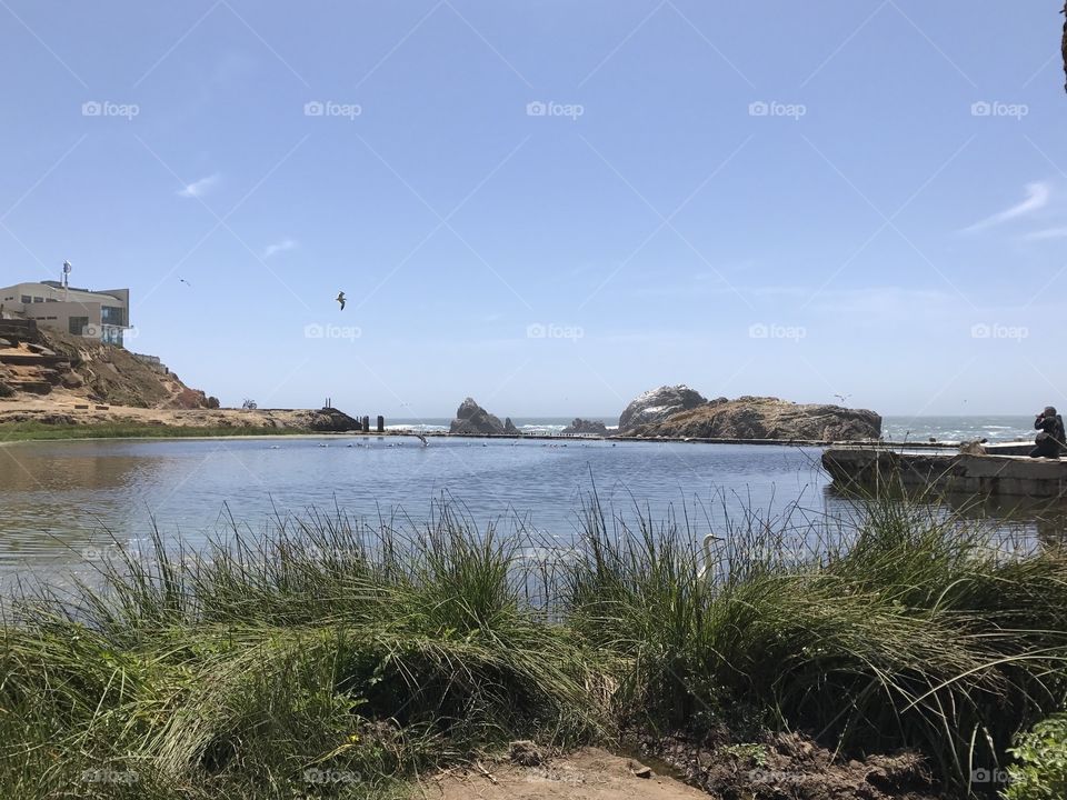 Sutro Baths Ruins