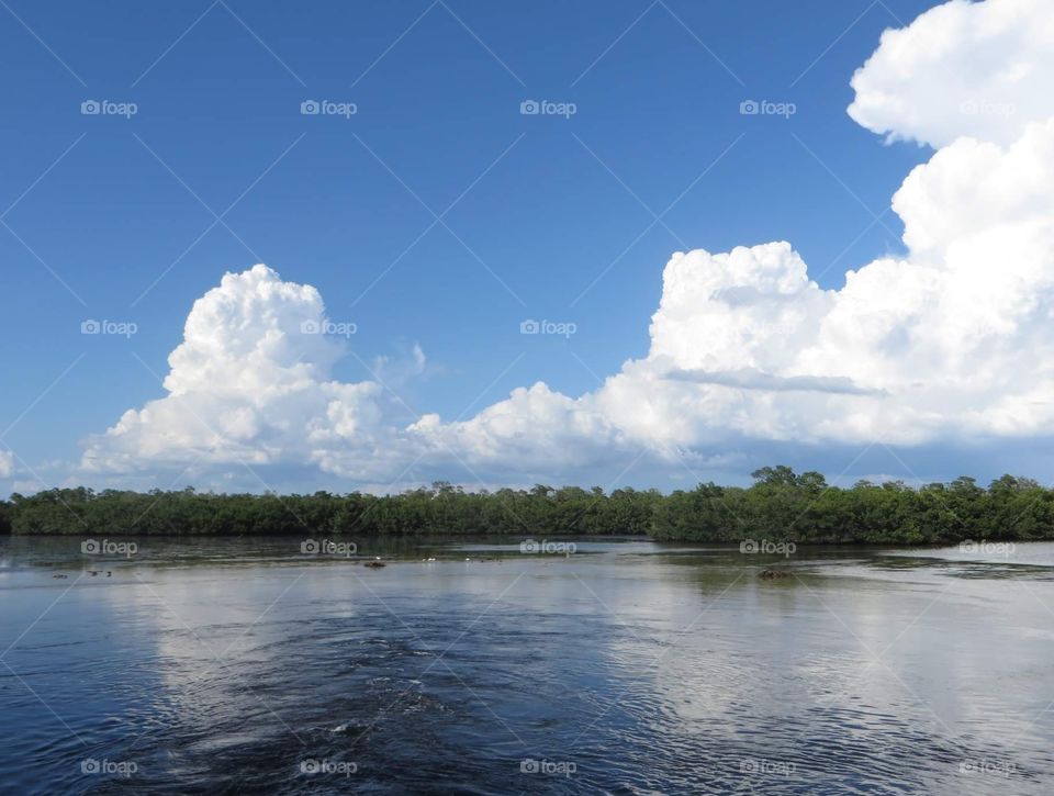 clouds over mangroves