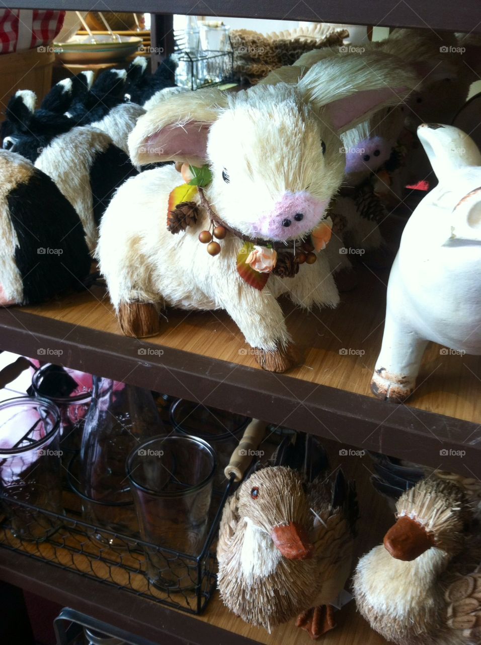 Poultry, Chicken, Livestock, Bird, Farm